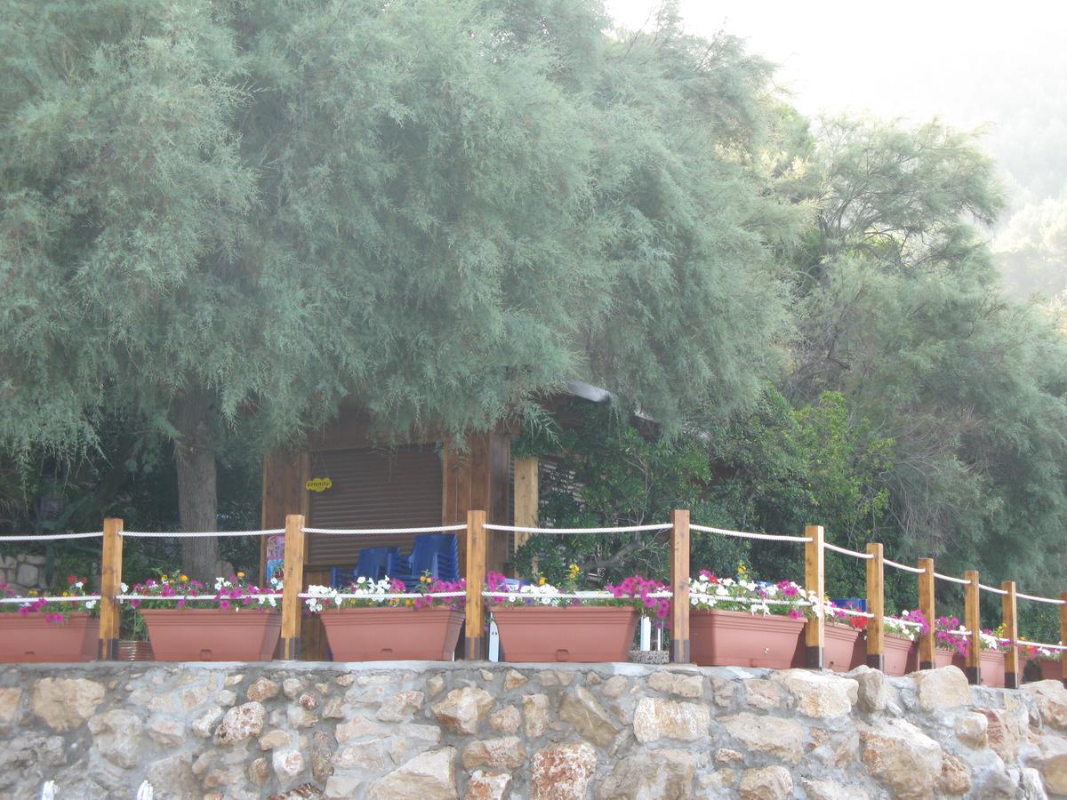 ספרלונגה Hotel Club Torre Capovento מראה חיצוני תמונה